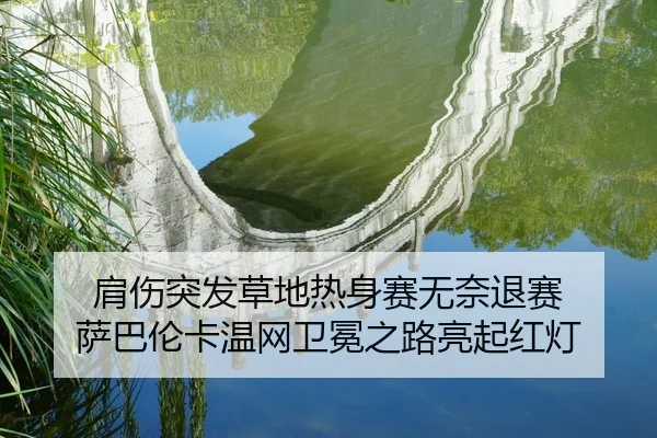 肩伤突发草地热身赛无奈退赛 萨巴伦卡温网卫冕之路亮起红灯